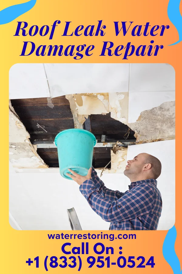 Roof Leak Water Damage Repair in Southern Shops, SC