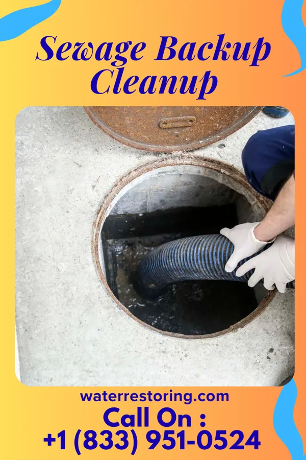Sewage Backup Cleanup in Southern Shops, SC