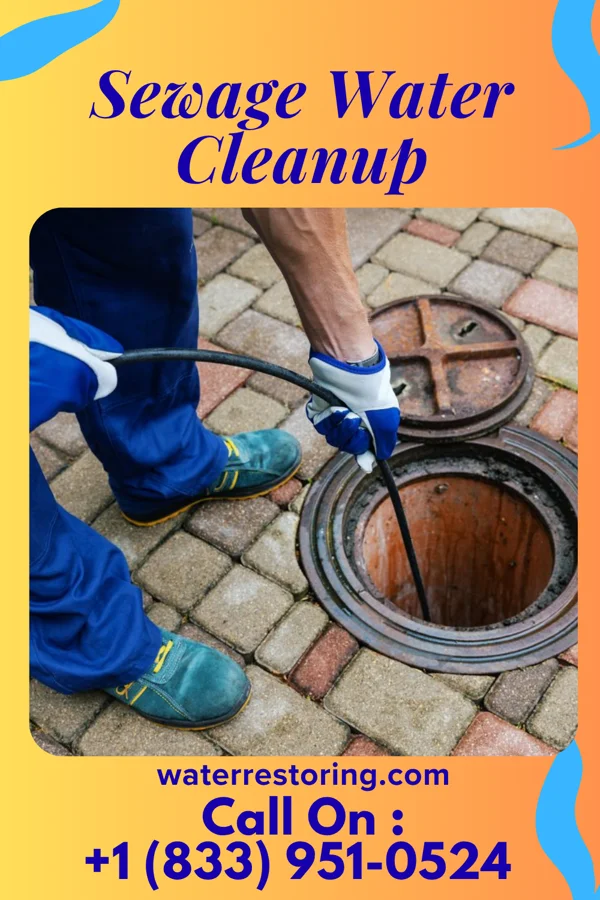 Sewage Water Cleanup in Southern Shops, SC