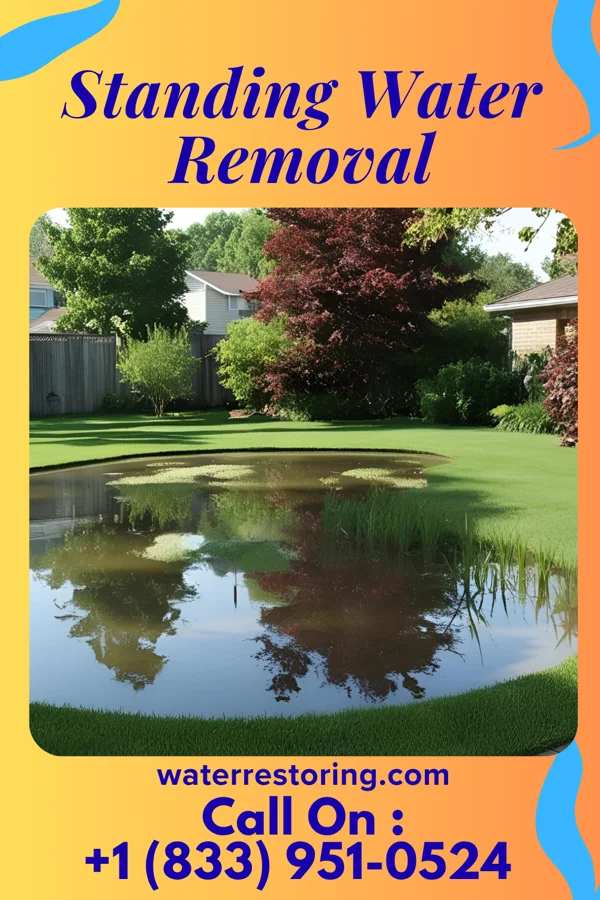 Standing Water Removal in Southern Shops, SC